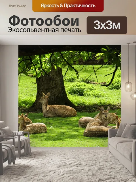 Фотообои Олень