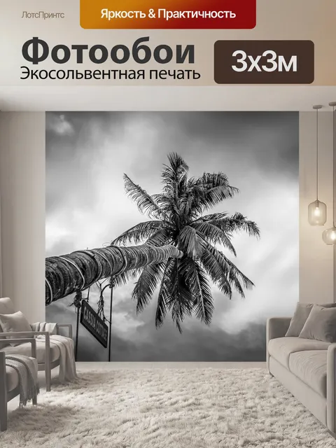 Фотообои Пальма
