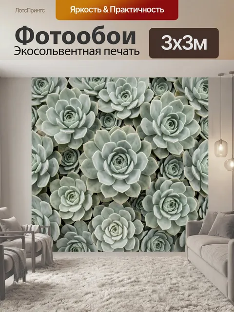 Фотообои Суккуленты в нежных пастельных тонах