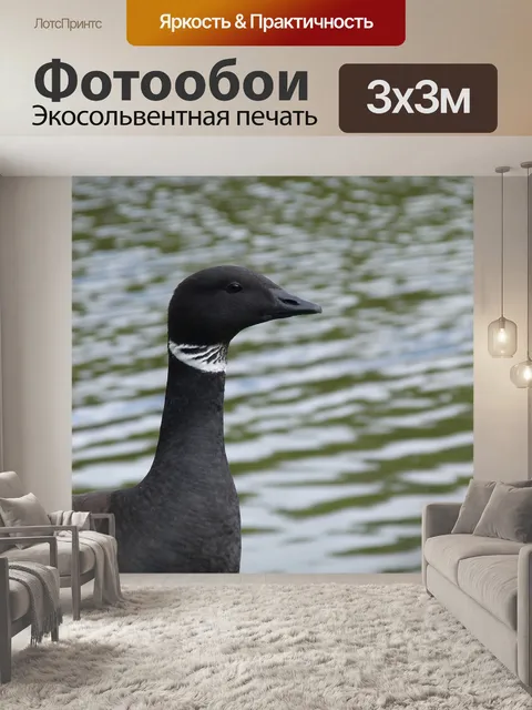 Фотообои Гусь