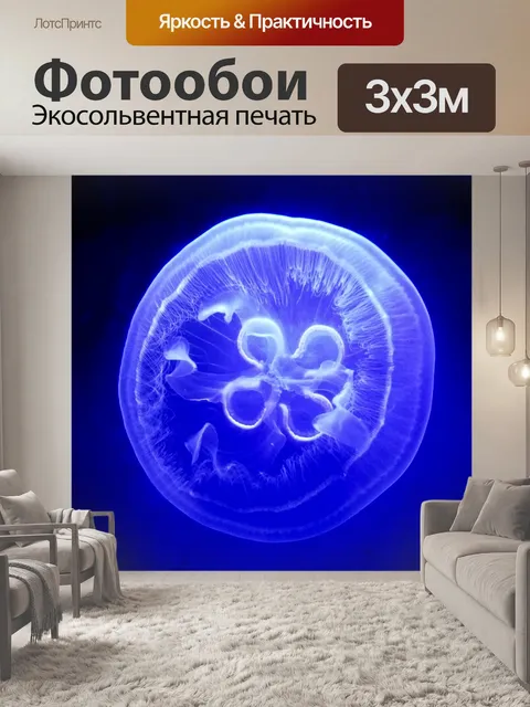 Фотообои медуза