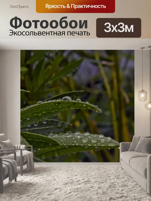 Фотообои Капли дождя на листьях