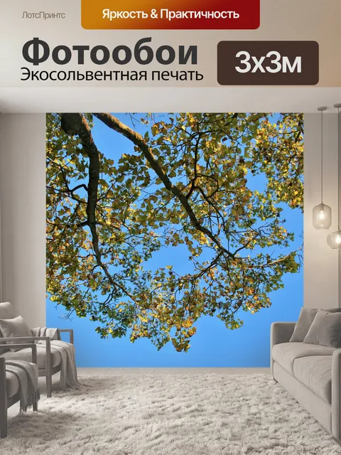 Фотообои изменения листья на фоне неба