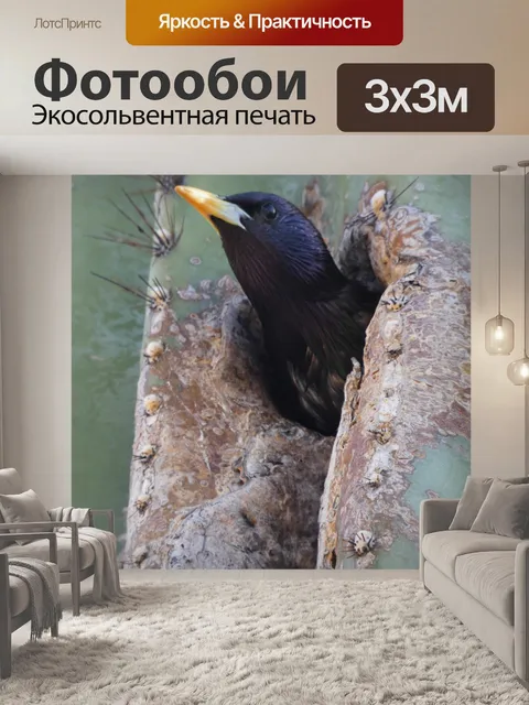 Фотообои Птица