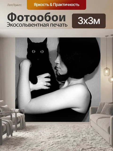 Фотообои Черный кот