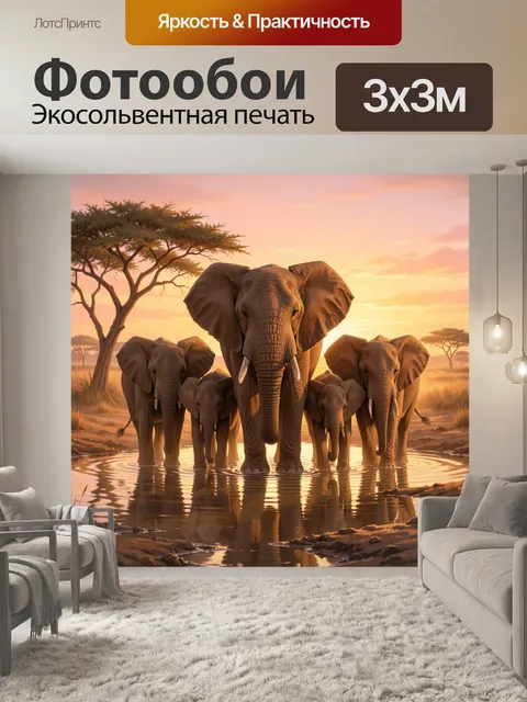Фотообои Семья слонов у водопоя