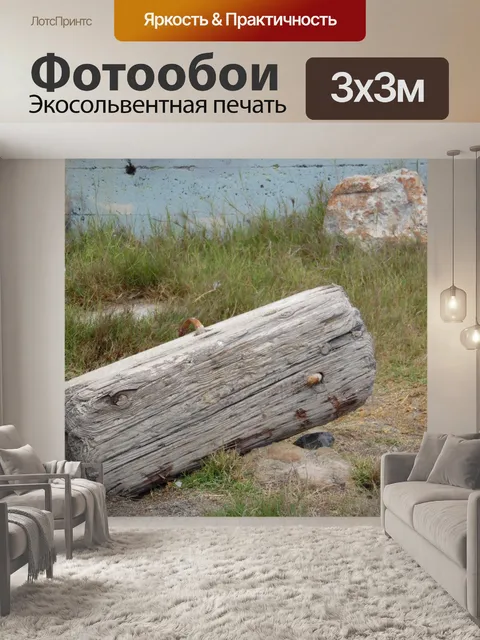 Фотообои Древесина мусора на Sutro Ванны