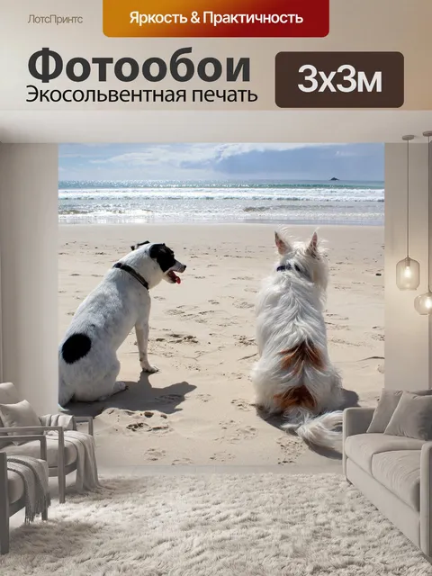 Фотообои Собака