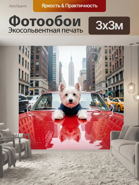 Фотообои Белый терьер на красном авто