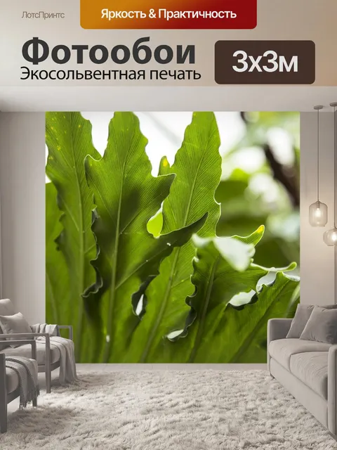 Фотообои Тропический