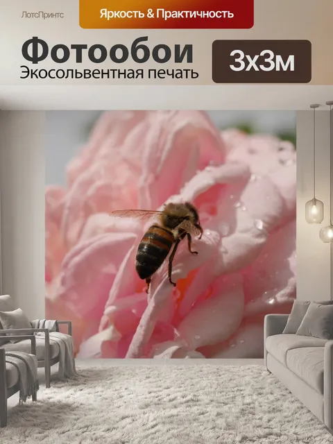 Фотообои Роза