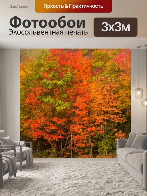 Фотообои Осенняя дорога
