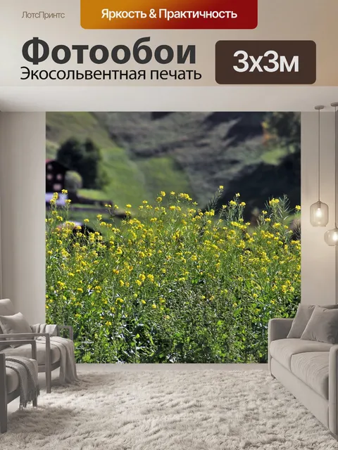 Фотообои Хилл