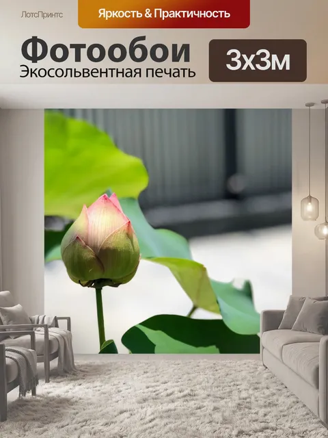 Фотообои Розовый лотос