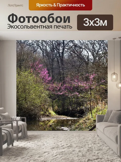 Фотообои Ручей весной