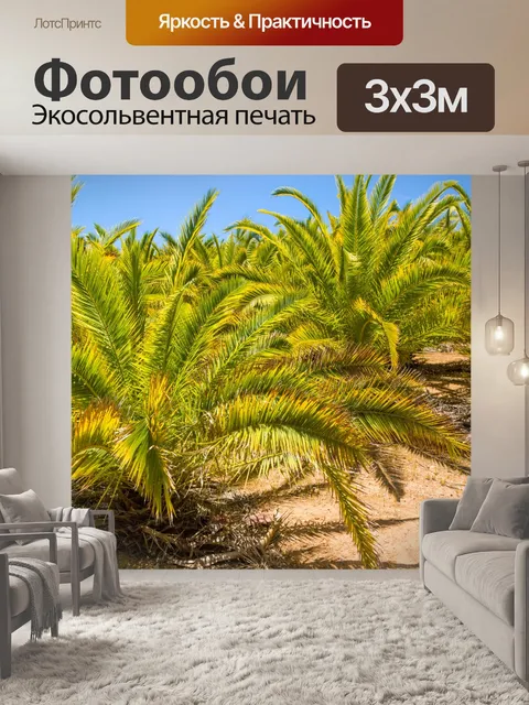 Фотообои Пальмы и голубое небо