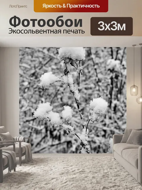 Фотообои Snow