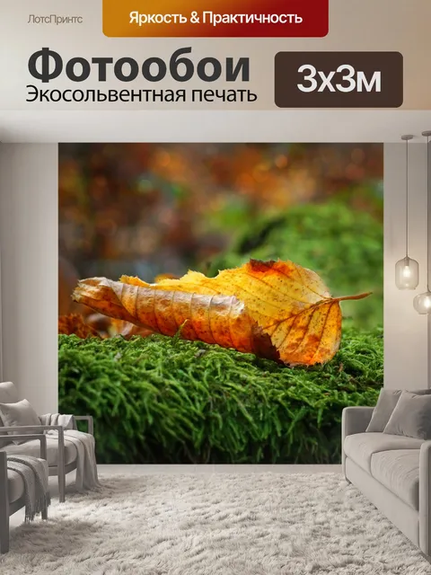 Фотообои Осенние листья мох буковый лист