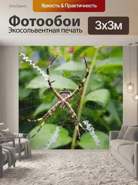 Фотообои Паук