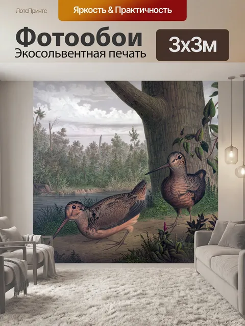 Фотообои Игра Птицы Вальдшнепы Живопись