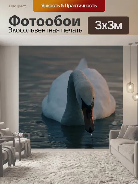 Фотообои Лебедь