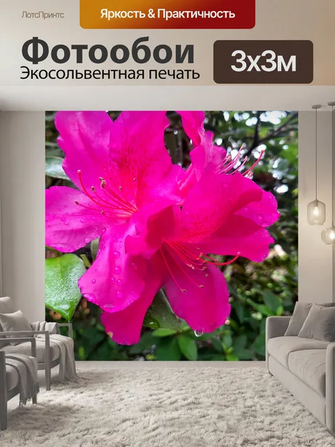 Фотообои Розовая азалия
