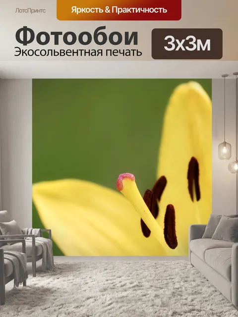 Фотообои Лили