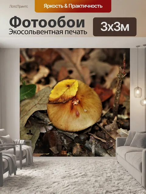 Фотообои Коричневый гриб с желтыми листьями