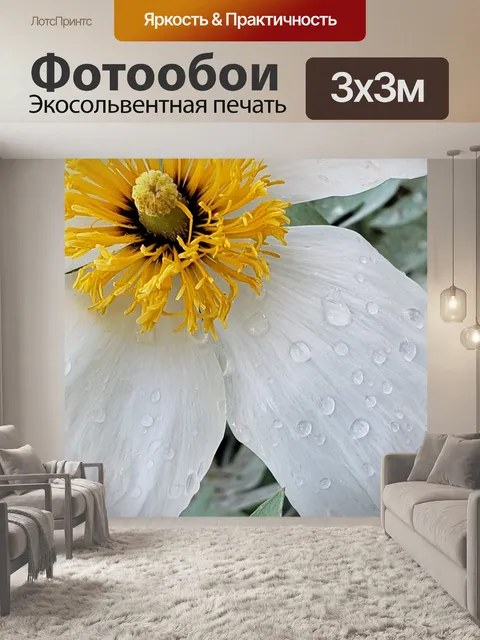 Фотообои Матилия Мак Макро