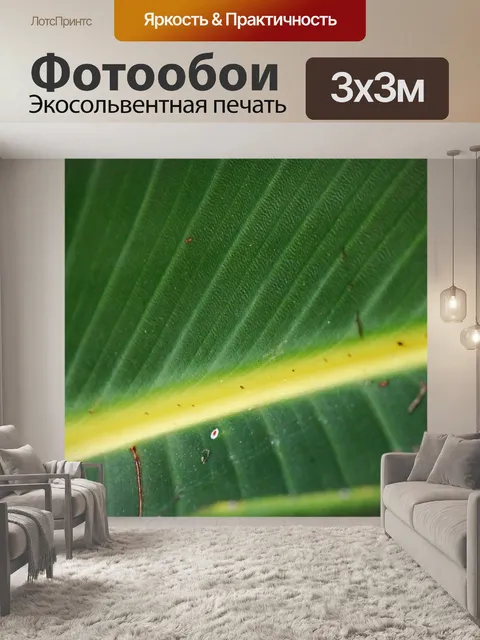 Фотообои прожилки на большом листе стрелиции