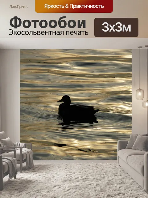 Фотообои Утка