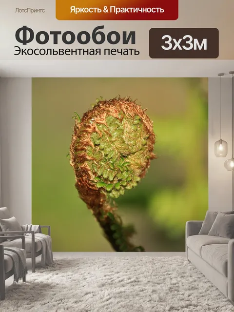 Фотообои Папоротник