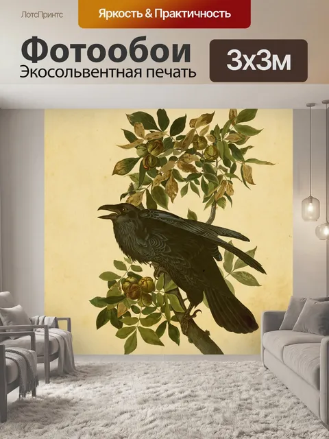Фотообои Ворон Живопись Античная Бумага