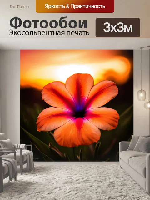 Фотообои лепесток редкого цветка