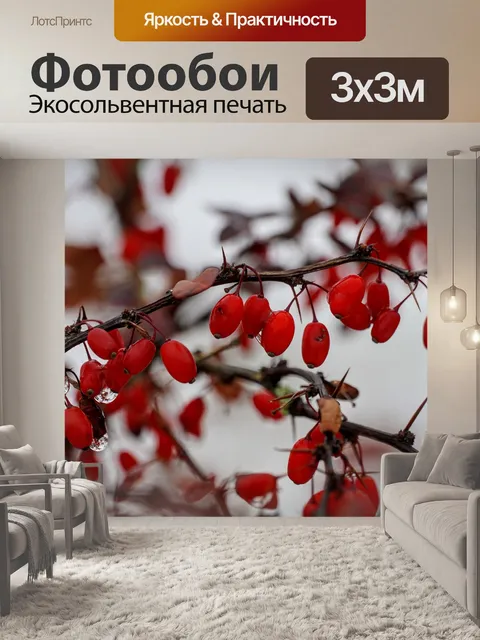 Фотообои Цветы