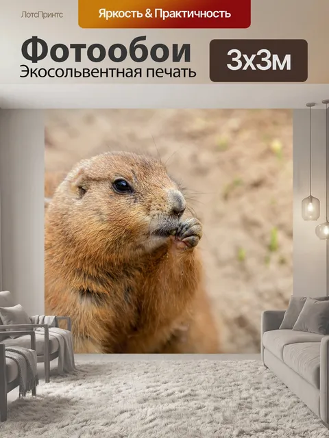 Фотообои Природа