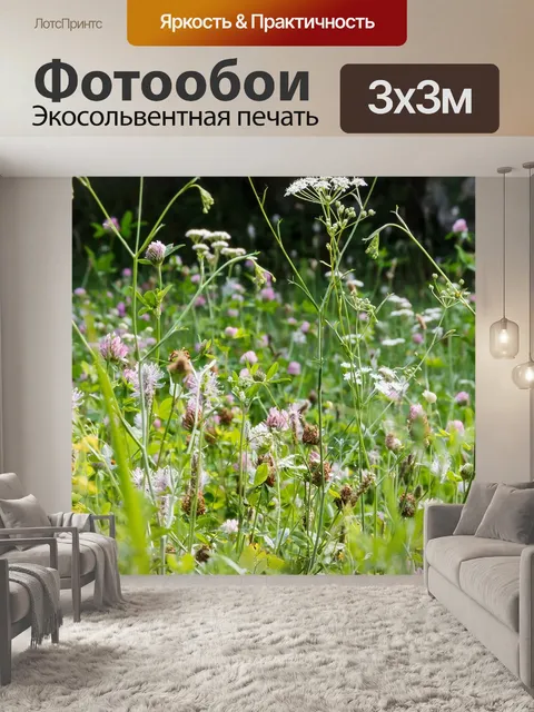 Фотообои Луг