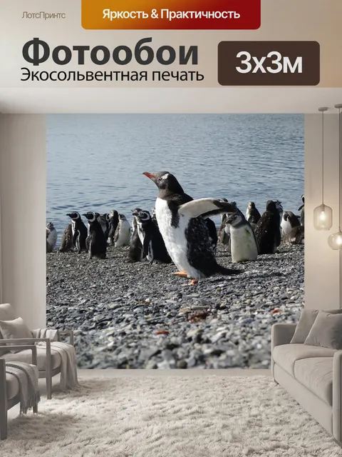 Фотообои Пингвины