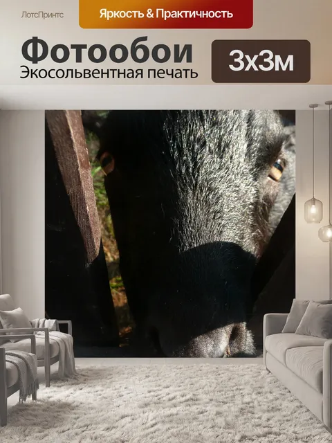 Фотообои черный козел