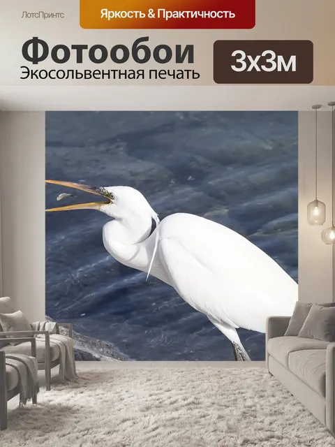 Фотообои Птица