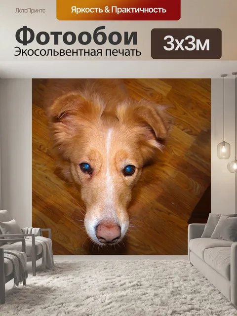 Фотообои Я положу все мое доверие в вас