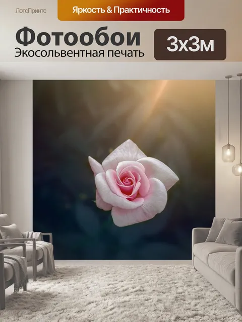 Фотообои Роза