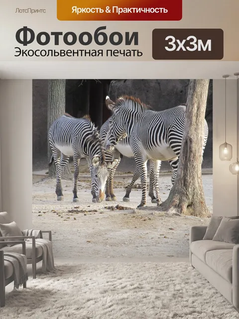 Фотообои Зебры едят