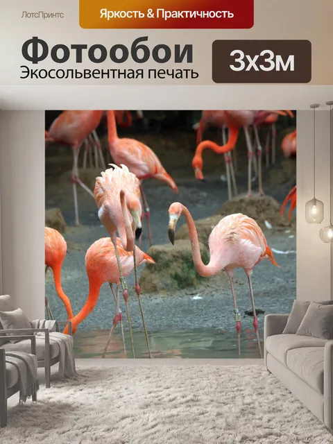 Фотообои Фламинго в поисках пищи