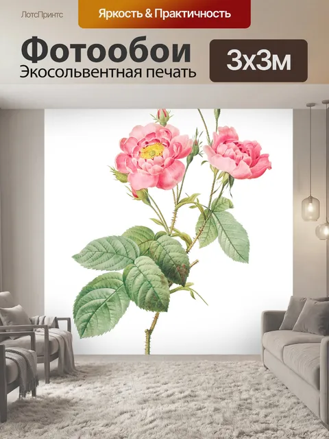 Фотообои Винтажная цветочная иллюстрация розы