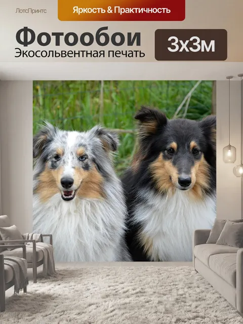 Фотообои Собака