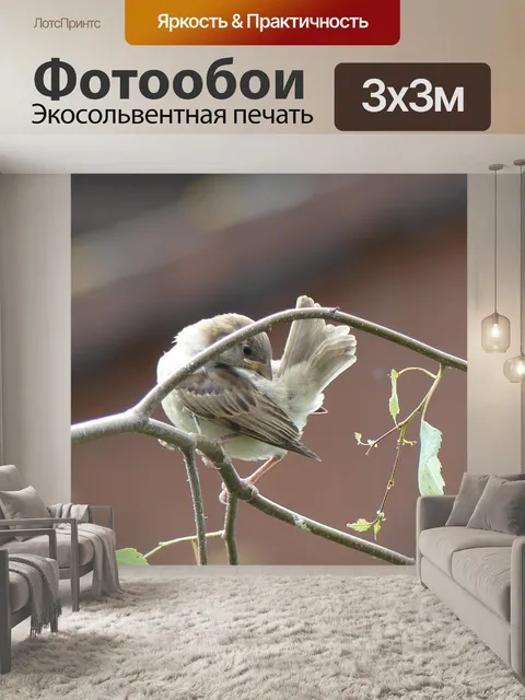 Фотообои Сперлинг
