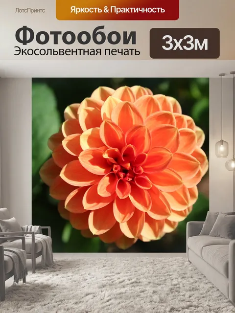 Фотообои Георгин