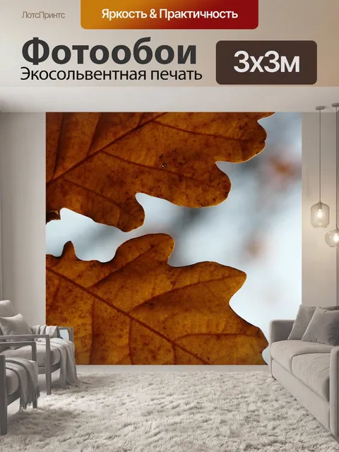 Фотообои Дубовые листья