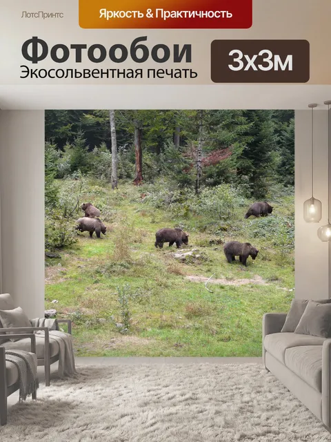 Фотообои Нести